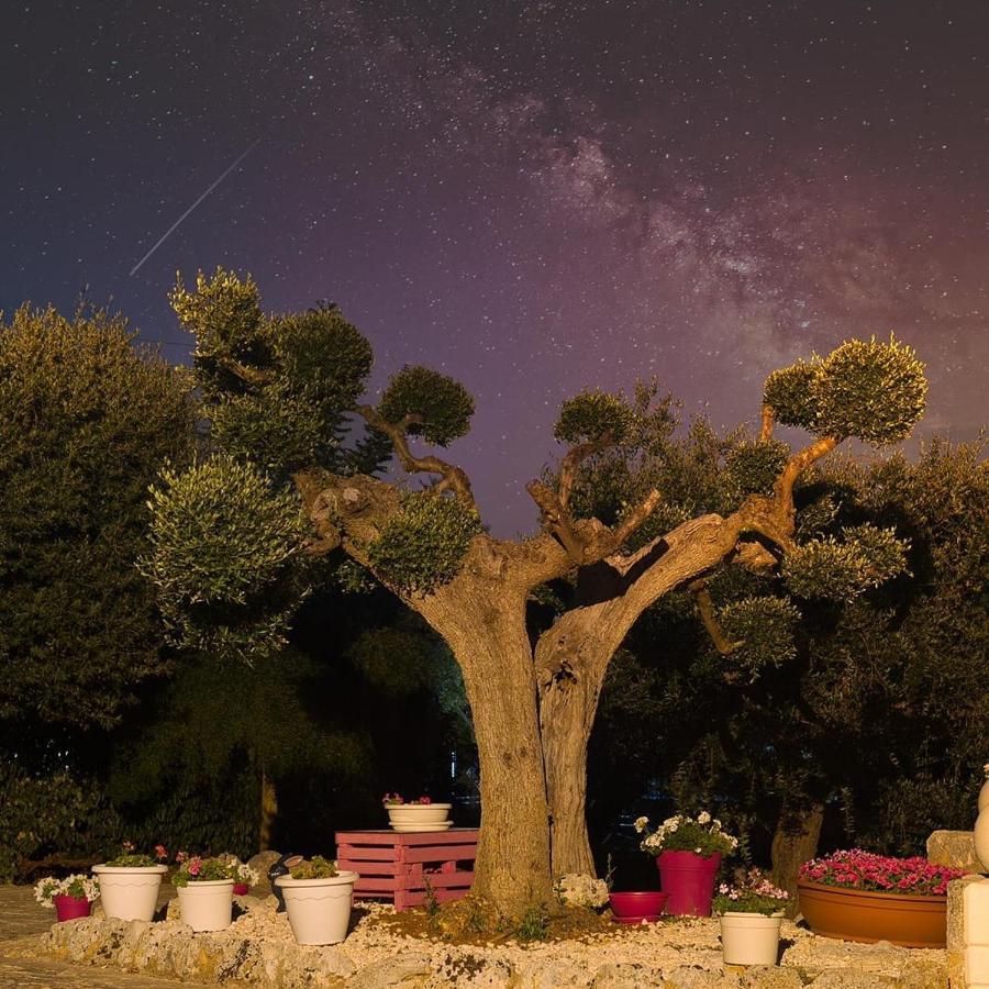 Villa Dei Fiori Locorotondo Esterno foto